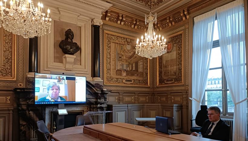 Webinaire avec la Haute Cour de cassation et de justice de Roumanie