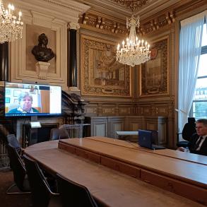 Webinaire avec la Haute Cour de cassation et de justice de Roumanie